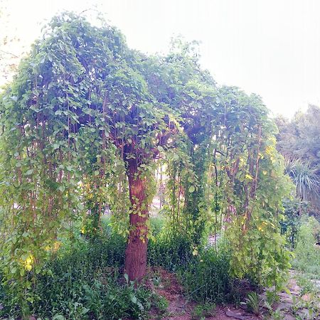 הוילה Casa Con Jardin Y Aparcamiento En Viznar, Junto A Granada מראה חיצוני תמונה