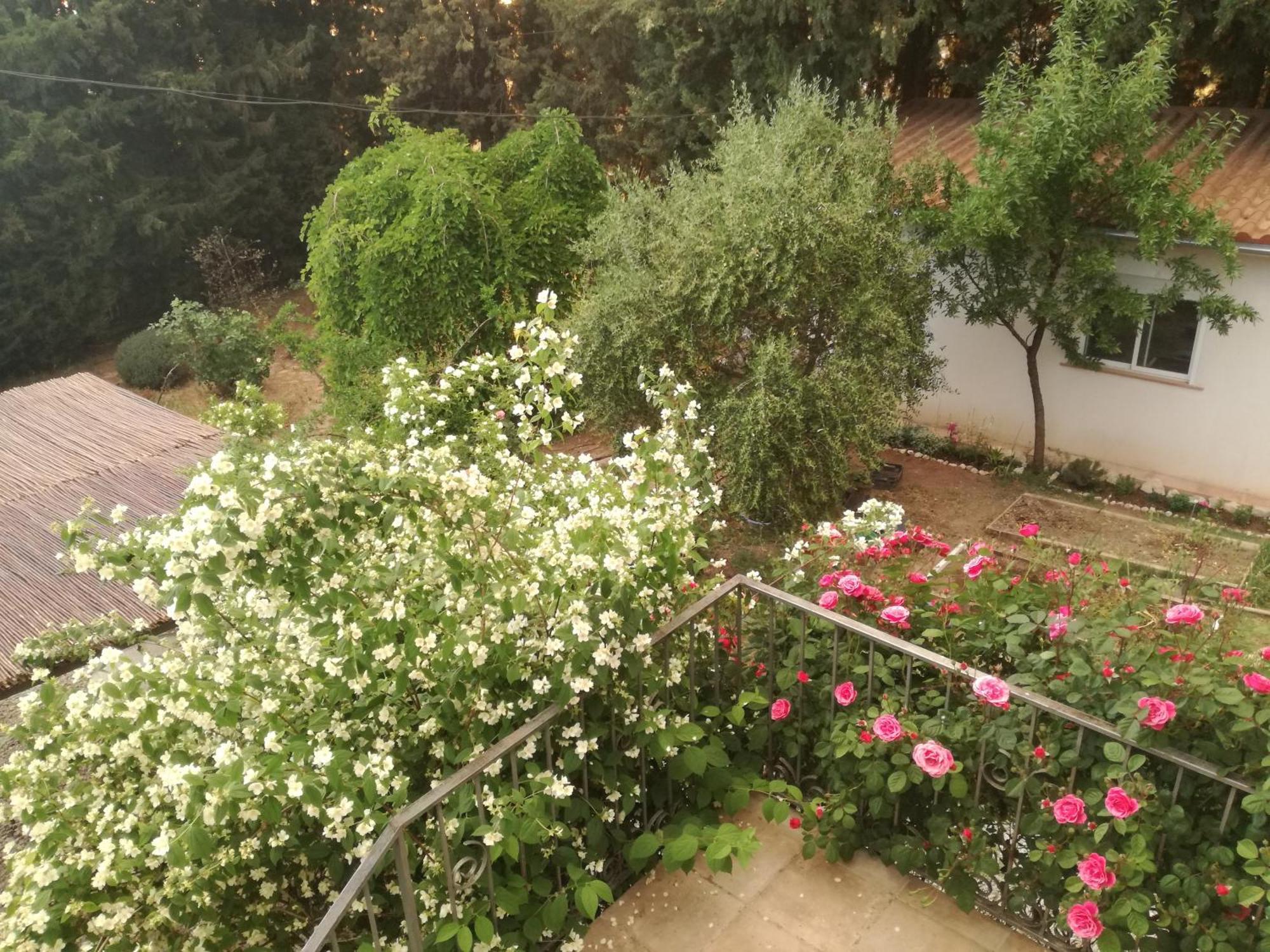 הוילה Casa Con Jardin Y Aparcamiento En Viznar, Junto A Granada מראה חיצוני תמונה