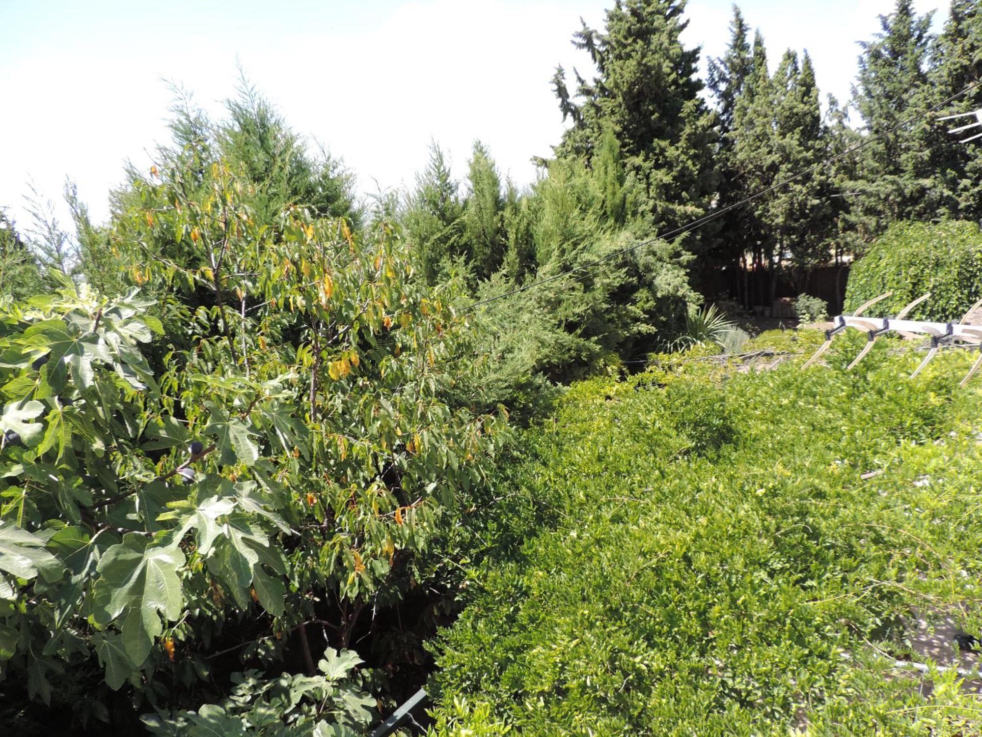 הוילה Casa Con Jardin Y Aparcamiento En Viznar, Junto A Granada מראה חיצוני תמונה